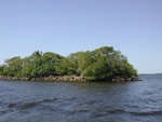Now-a-days, you have to run minimum wake speed around Shell Point - although it seems like a bummer to most boaters, we actually enjoy it, because you get a good look at the Mangroves and little islands in the area.