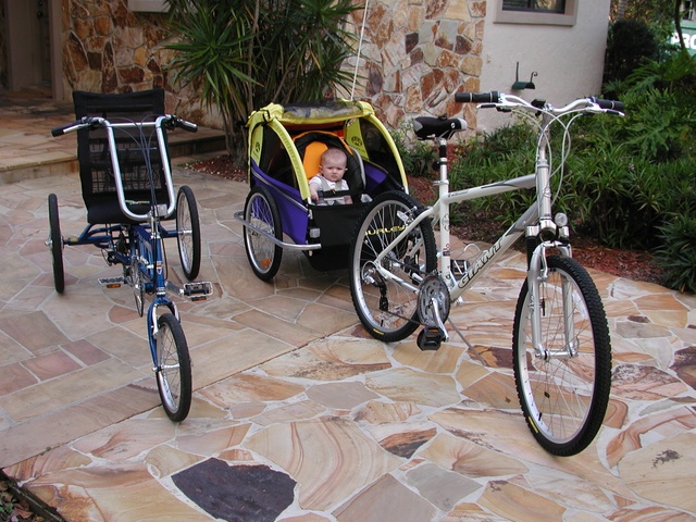 "Mom & dad got new wheelz too!"  Mom's bike is a 21-speed EZ-3 Trike.  Dad's bike is a 24 speed Sedona GIANT.