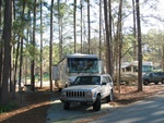 Our "rig" dwarfed by the pines...  