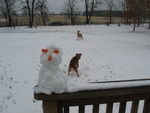 Of course, Becky & Peanut couldn't believe how cool the snowman was.