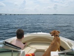 Pean decided to join us today, her and Adam watched off the bow as we went across the river.