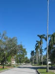 As we walk north on Harold, you can see blue skies, and Palm trees. Today's temperature at 10:30am - 71'.