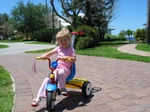Paige is showing off her new tricycle, complete with horn (Thanks Grandma Marty!)