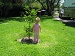 Here's Paige with "Uncle Chris's Lemon Tree for Paige" - click  here to see Paige & Uncle Chris with the tree the day it was planted.