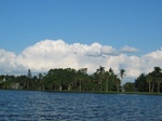 A typical summer thunderhead sits off in the background.