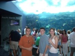 In this exhibit - Pacific Barrier Reef - you stand under and basically in a full coral reef.