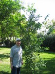 Uncle Chris stopped by his Lemon Tree - couldn't believe how much it had grown in 4 years!