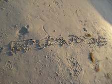 Paige wrote this in the sand... :)