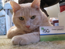 I want YOU to use Charly and ISG for any of your web needs!