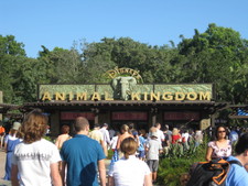 It's Animal Kingdom day!