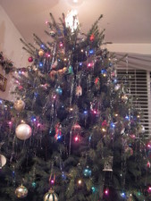 The beautiful Christmas tree!