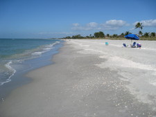 What a beautiful day it is -- here on Captiva.  Sunny & 80!